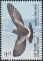 Wilson’s Storm-Petrel (Oceanites oceanicus)