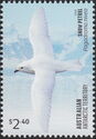 Snow Petrel (Pagodroma nivea)