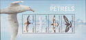 Petrels
