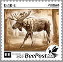 Elk
