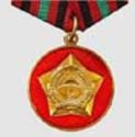 Medal of Merit 15 Years of Service