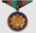 Medal of Merit 5 Years of Service