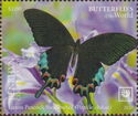 Luzon Peacock Swallowtail (Papilio chikae)