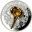 5 Dollars (Golden Flower Collection - Calla)