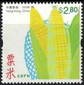 Corn (Maize)
