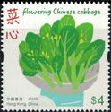 Flowering Chinese Cabbage