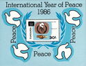 International Peace Year