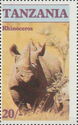 Black Rhinoceros (Diceros bicornis)