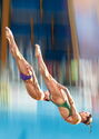 Kinds of sports. Diving