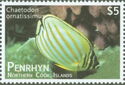 Ornate Butterflyfish (Chaetodon ornatissimus)