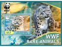 WWF Snow Leopard