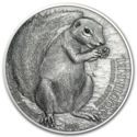5 Dollars (Barbary Ground Squirrel)