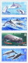 Marine Mammals