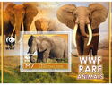 Fauna World Wildlife Fund Rare animals