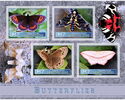 Fauna Butterflies I
