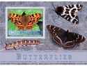 Polygonia c-album