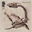 Fossil of Plesiosaurus macrocephalus