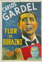 Buenos Aires. Buenos Aires Film Museum. Flower of Durazno