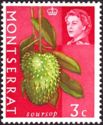 Soursop