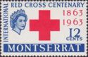 Red Cross Emblem