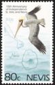 Brown Pelican and Map of St. Kitts-Nevis