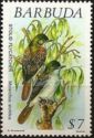 Stolid Flycatcher (Myiarchus stolidus)