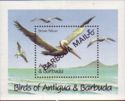 Birds of Antigua & Barbuda (1) - Overprinted