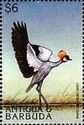 Gray Crowned Crane (Balearica regulorum)