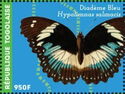 Blue Diadem Butterfly