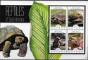 Reptiles of South America
