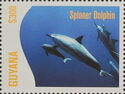 Spinner Dolphin