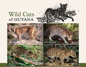 Wild Cats of Guyana