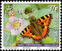 Small Tortoiseshell (Aglais urticae)