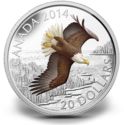 20 Dollars (Soaring Bald Eagle)