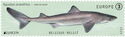 Spiny Dogfish (Squalus acanthias)
