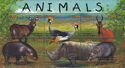 Animals