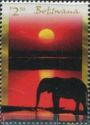 African Elephant (Loxodonta africana) in Sunset