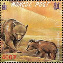Gobi Bear (Ursus arctos gobiensis)