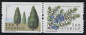 Juniperus communis/Juniperus communis
