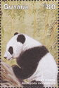 Panda Sitting on Tree Trunk