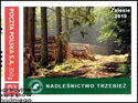 Zalesie 2019 Trzebież Forest District