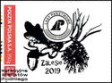 Zalesie 2019 State Forests