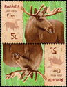 Moose (Alces alces)