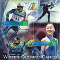 Winter Olympic Games in Vancouver in 2010