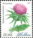 Milk Thistle (Silybum marianum)