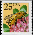 Honey Bee (Apis mellifera)