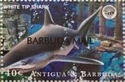 White Tip Shark - Overprinted