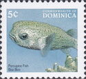 Porcupinefish (Diodon sp.)