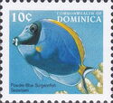 Powderblue Surgeonfish (Acanthurus leucosternon)