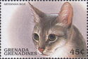 Abyssinian blue